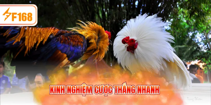 Kinh nghiệm cược thắng nhanh